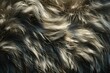 illustration of the texture and pattern of dog fur, focusing on its softness and natural sheen