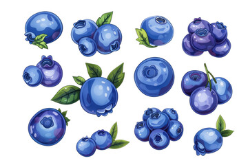 Wall Mural - set of blueberries, collection, clipsart illustration isolated on white or transparent png
