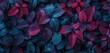 Vibrant Blue and Red Leaves Nature Background