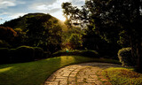 Fototapeta Londyn - A Sunlit Path in the Brazilian Countryside