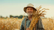 Elderly farmer holding bundles of wheat in his hands