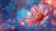  Beautiful pink flower on blue background with bokeh lights