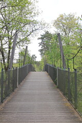 Poster - Blick auf die Mechelse Heide bei Genk in der Belgischen Provinz Limburg