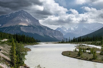 Wall Mural - Beautiful shot of a lake surrounded by pine trees and mountains in the background