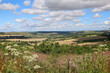© Vicky - Rural landscape across the South Downs with white clouds and blue sky