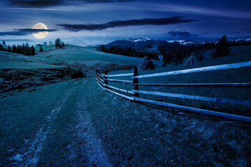 Wall Mural - carpathian countryside scenery in spring at night. mountainous rural landscape with path through the
