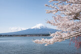 Fototapeta Las - Mount Fuji and Lake Kawaguchi in spring, Kawaguchiko, Yamanashi Prefecture, Japan