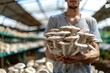 Man Holding Harvest on a Mushroom Farm, Hands are Holding Mushrooms, Mushrooms Plantation