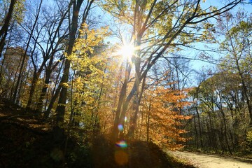  Bright autumn colors of nature