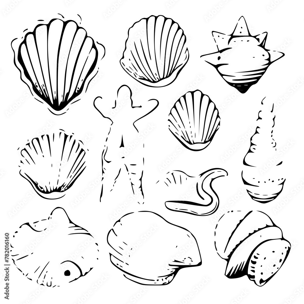 Seashell Vector Svg Seashells svg, Seashell svg file, Ocean svg, Marine, Clipart, Seashell ...