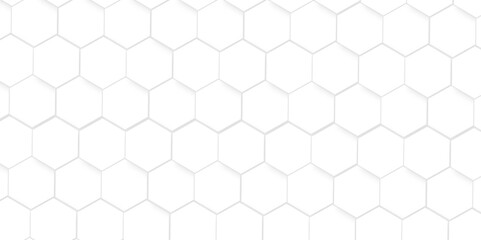 White Hexagonal Background. Luxury White Pattern. Vector Illustration. 3D Futuristic abstract honeycomb mosaic white background. geometric mesh cell texture. modern futuristic wallpaper.