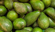 avocados in the market