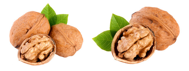 Poster - Walnuts with leaf isolated on white background