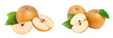 Fototapeta  - Fresh asian pear with leaf isolated on white background