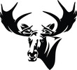 wild moose bull head front view black and white vector portrait design