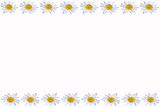 Fototapeta Do pokoju - background, pattern, white, flowers, plants, spring, nature, flo