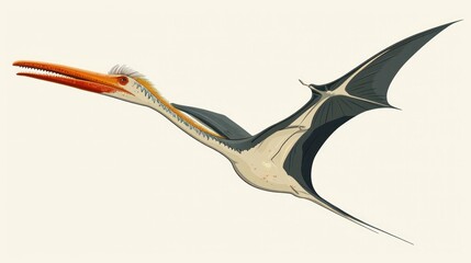 Wall Mural - clipart vector illustration of a flying dinosaur, pterodactyl.