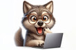 Wolf with glasses and a surprised look on his face is looking at a laptop on white background