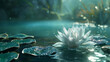 white water lily in the water in the moonlight