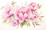 Fototapeta Kwiaty - Watercolor peony flowers on white background, light pink