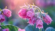 Pink Comfrey Flowers Blooming in a Lush Summer Garden Generative AI