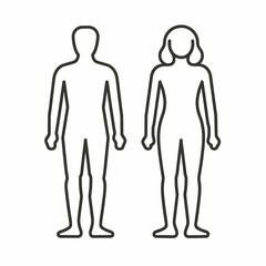 line drawing of human body illustration for medical theme promotion