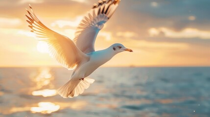 Canvas Print - A bird flying over the ocean at sunset with a beautiful sky, AI