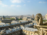 Fototapeta Boho - Paris cityscape seen from top of Notre-dame Cathedral, France