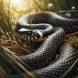 Close-up of a grass snake