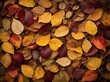 Abundance of leaves, each unique in shape, color, have fallen to ground, creating vibrant mix of autumn colors that cover surface. Colors range from deep reds, maroons to bright yellows, soft browns.