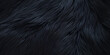 Black background, Sable noir fur texture background