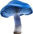 blue mushroom isolated on white or transparent background,transparency 