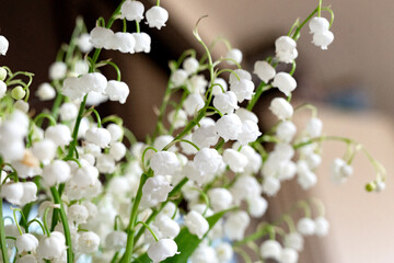  Lily of the valley flowers in glass vase, black background, selective focus