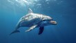 dolphin in deep ocean, marine wildlife photography capturing aquatic creatures in their natural habitat
