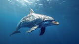 Fototapeta  - dolphin in deep ocean, marine wildlife photography capturing aquatic creatures in their natural habitat