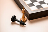 Fototapeta Dziecięca - Chess pieces are white king with fallen black king. Business concept and decision strategies.