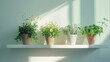 Row of potted plants on a shelf, suitable for home decor