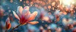 Stunning magnolia flower on fantasy blue background with glowing bokeh, new spring fairy tale floral garden, magnificent magnificent nature at its best.