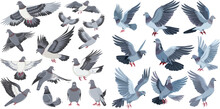 Wild Or Domestic Gray Fly Or Standing Dove Birds. Birdie Isolated Vector Illustration Icons Set