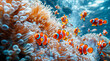 A group of clownfish swimming together in front of an anemone in a coral reef