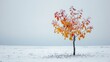 In the snow, a small tree stands alone with several yellow and red leaves. The leaves are frozen. It's cold and cloudy. Midwinter.