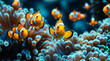 Clownfish swimming underwater in a coral reef
