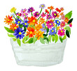Vaso con vivaci fiori multicolore ad acquerello, illustrazione isolata su sfondo bianco