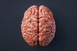 3d human brain in top view on dark background anatomically accurate scientific illustration