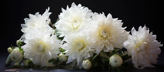 Aufkleber - White flowers arranged neatly on a table