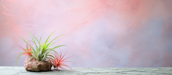 Aufkleber - Plants in pots on a wooden table