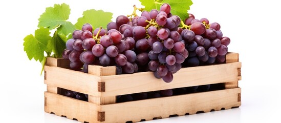 Poster - Ripe grapes wooden crate with leaves on white