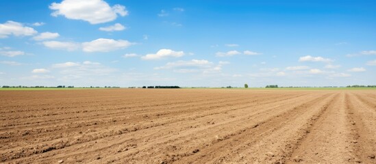 Poster - Plowed Field Under Clear Blue Sky
