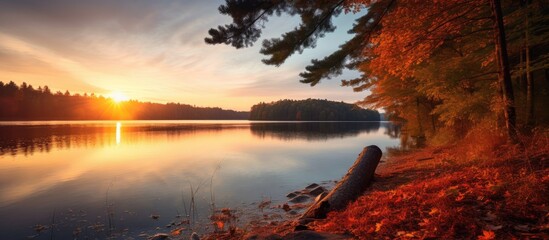 Aufkleber - Tree trunk on lake shore sunset