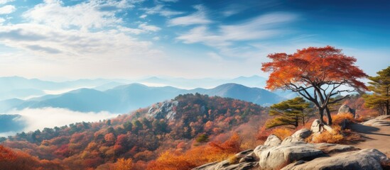 Poster - Autumn Landscape with Colorful Mountains and Tree